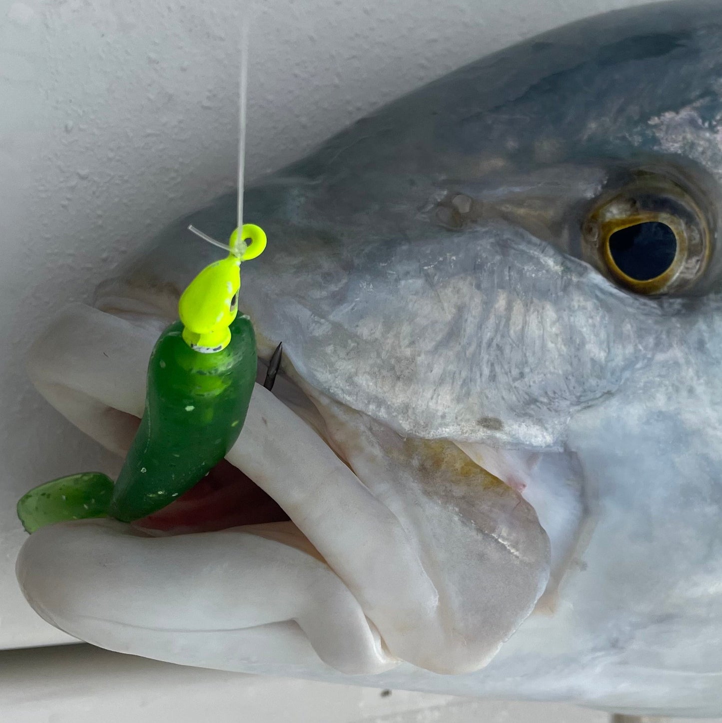 SEARIP 3” PADDLE TAIL