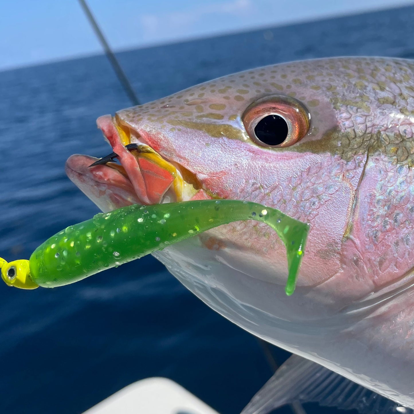 SEARIP 3” PADDLE TAIL