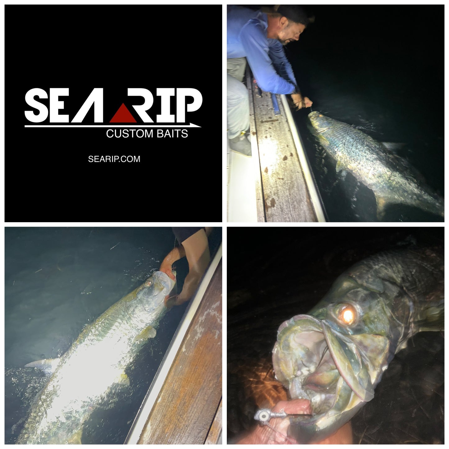 SEARIP 8” MEGA FLUKE