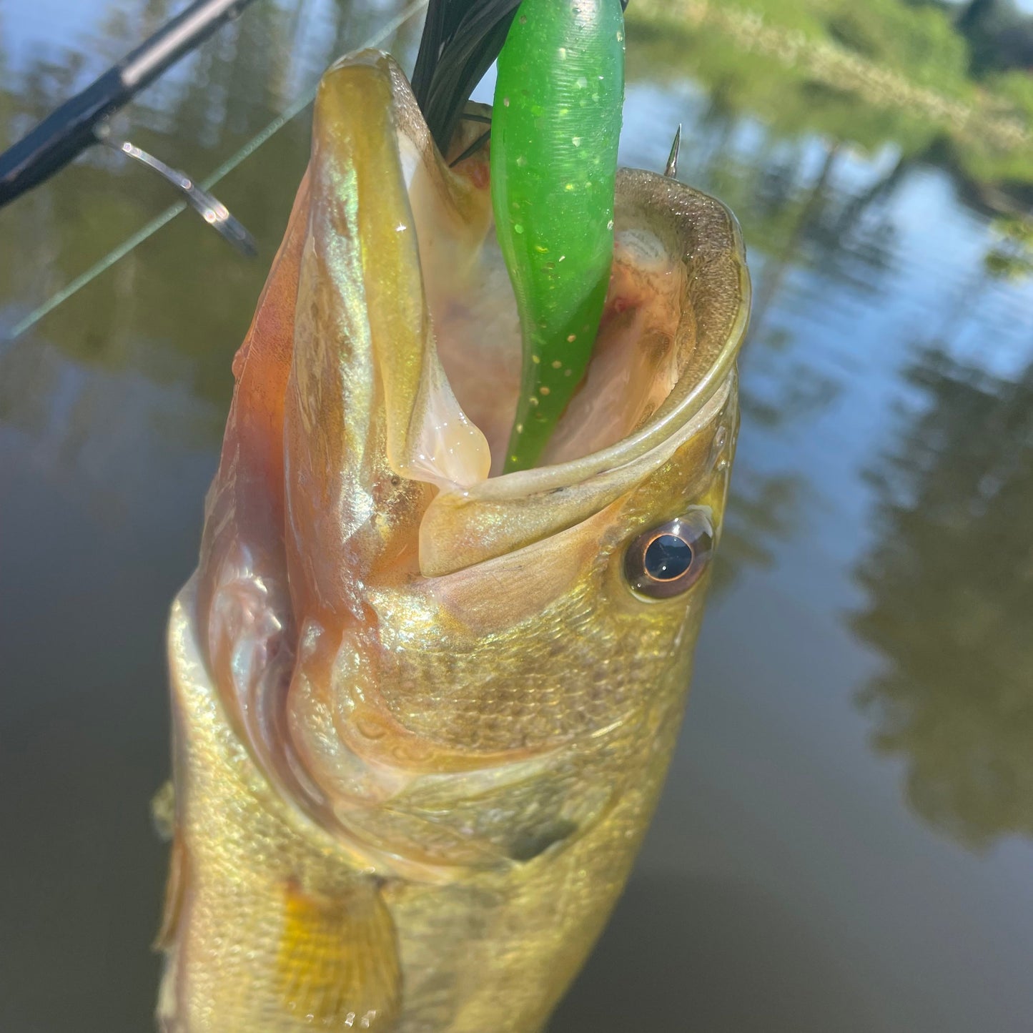 SEARIP 3” PADDLE TAIL