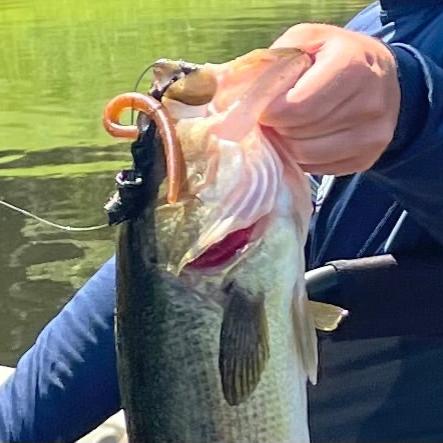 SEARIP 5” Stick Bait