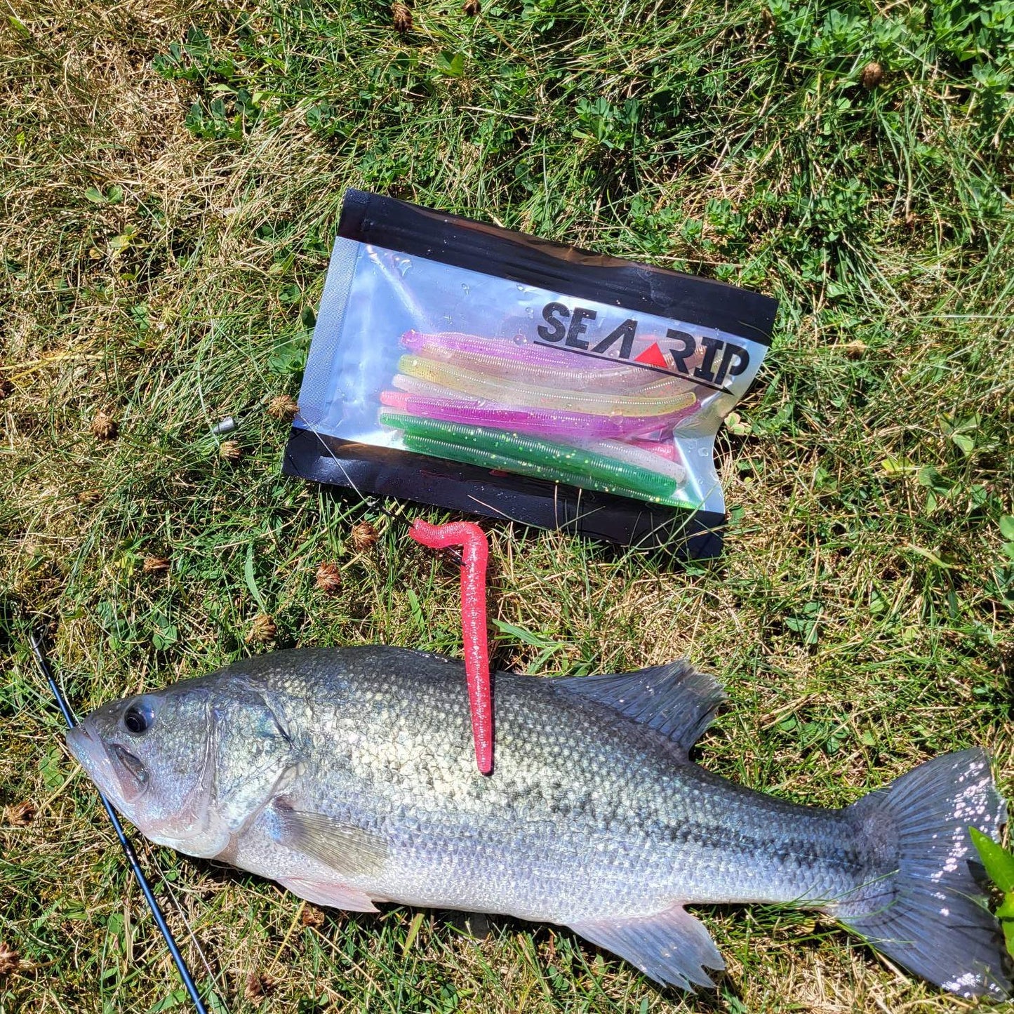 SEARIP 5” Stick Bait