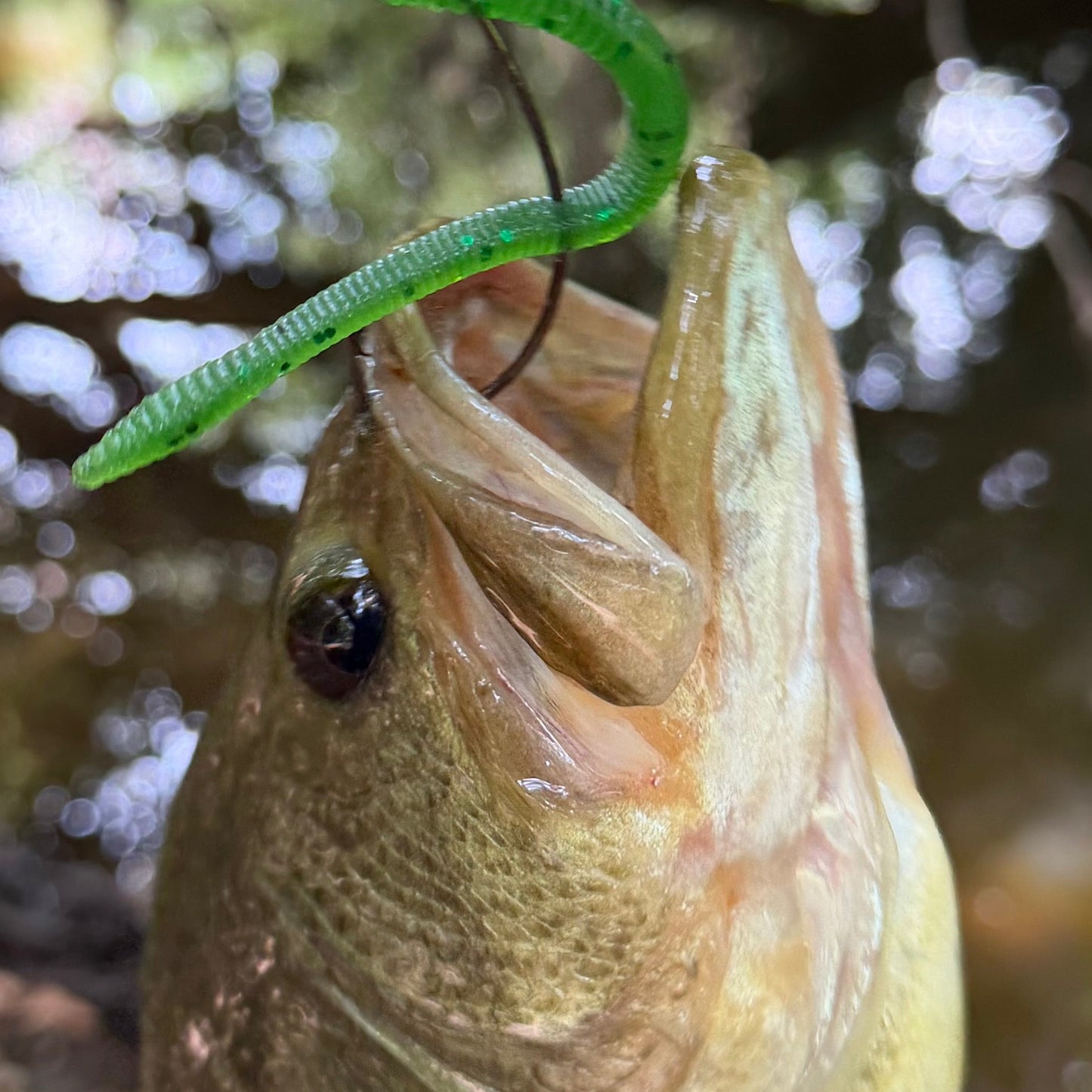 SEARIP 4” FINESSE WORM