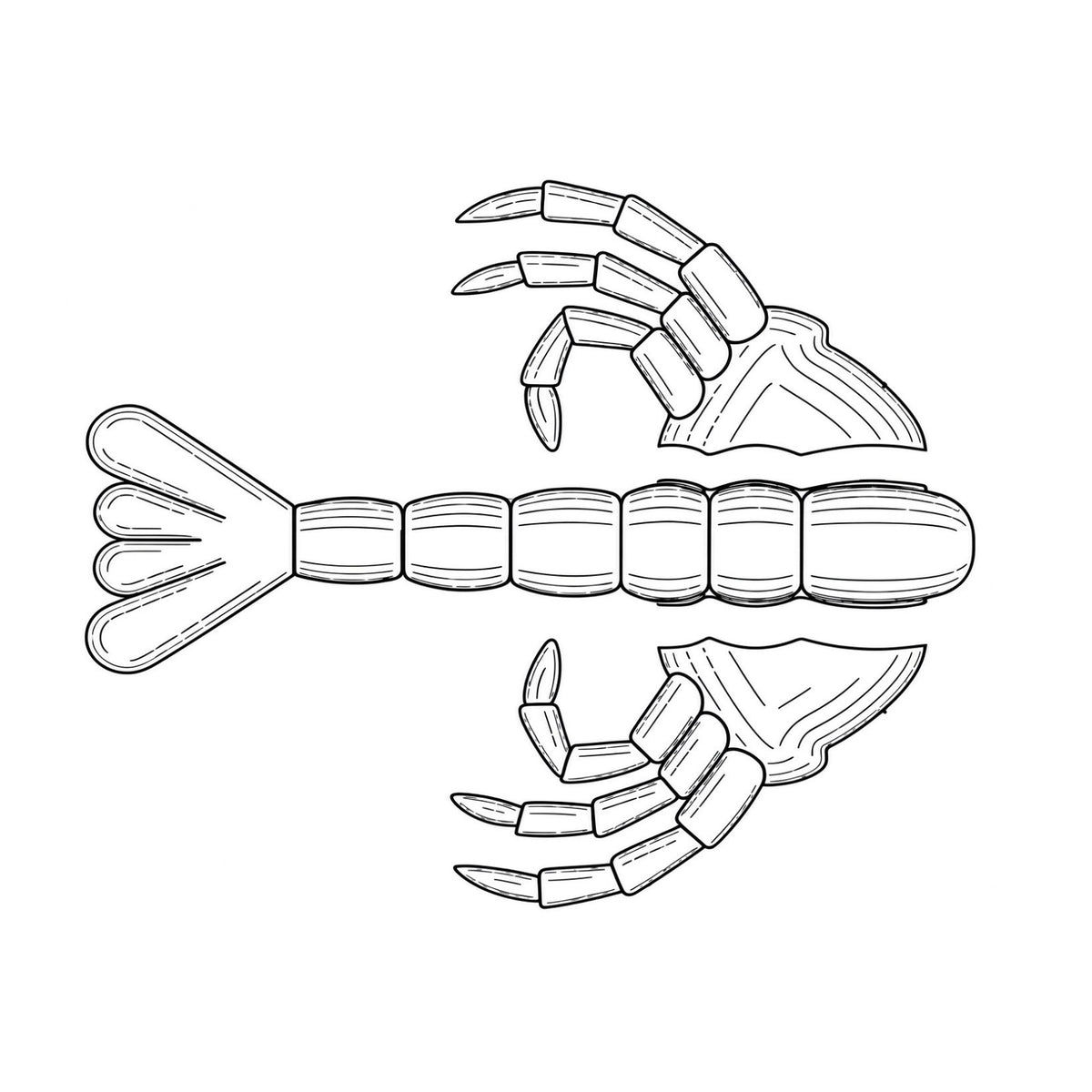SEARIP 3” SEMICRAB
