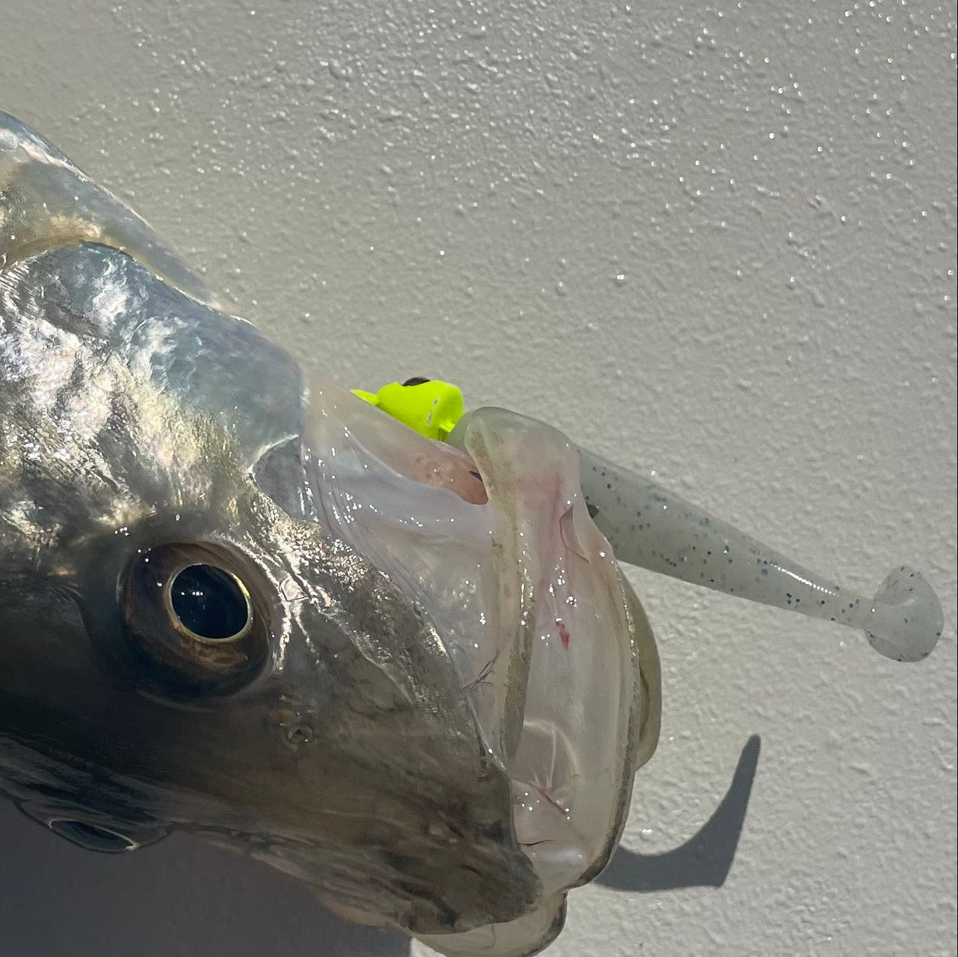 SEARIP 3” PADDLE TAIL