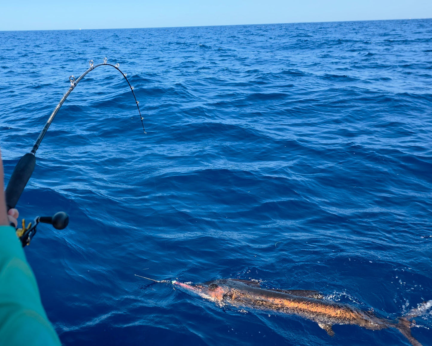 SEARIP 8” MEGA FLUKE